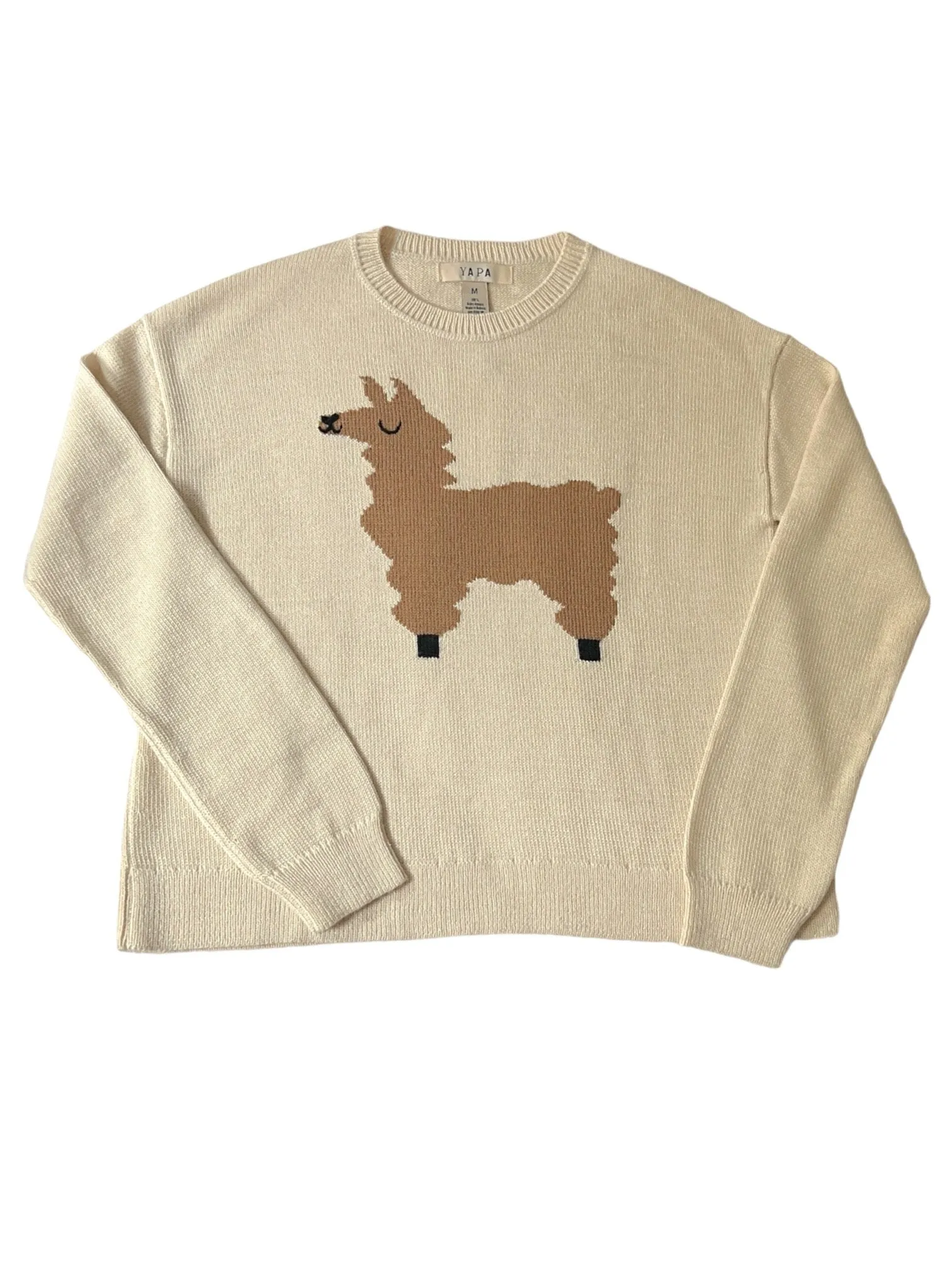 Alpaca design Sweater