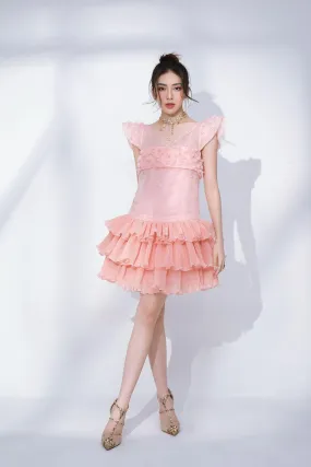 Anita Drop Waist V-Neck Organza Mini Dress