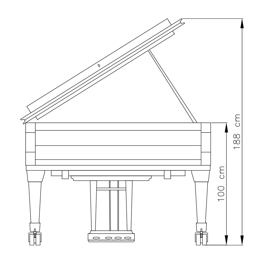 FAZIOLI F308 (10'3")