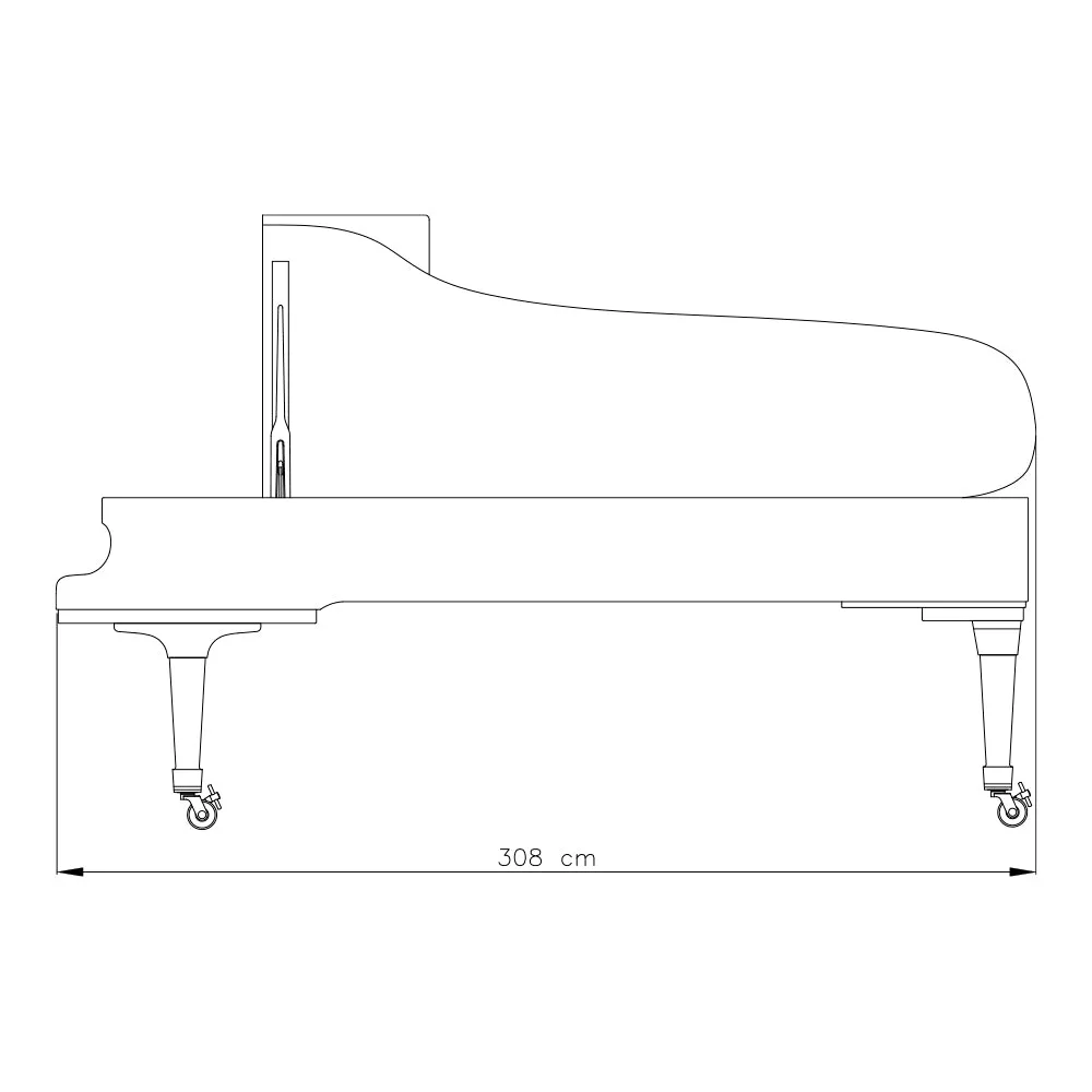 FAZIOLI F308 (10'3")