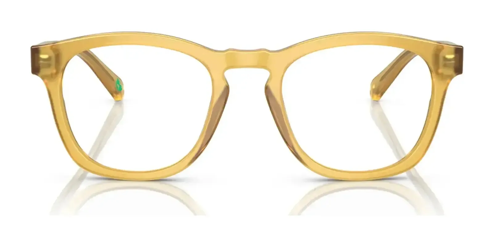 Polo PH2258 Eyeglasses