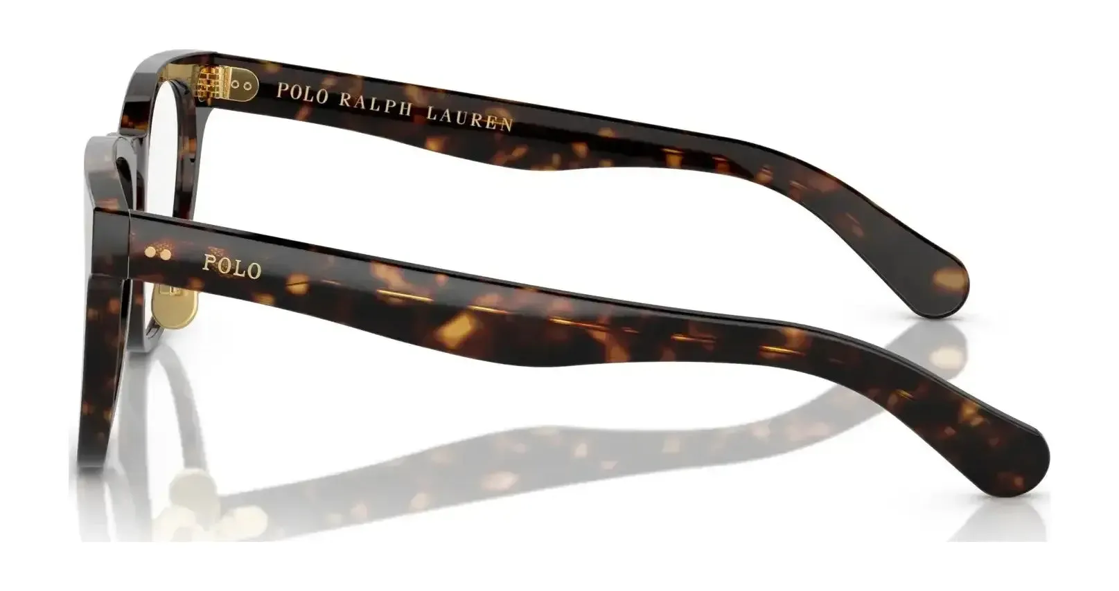 Polo PH2264D Eyeglasses | Size 52