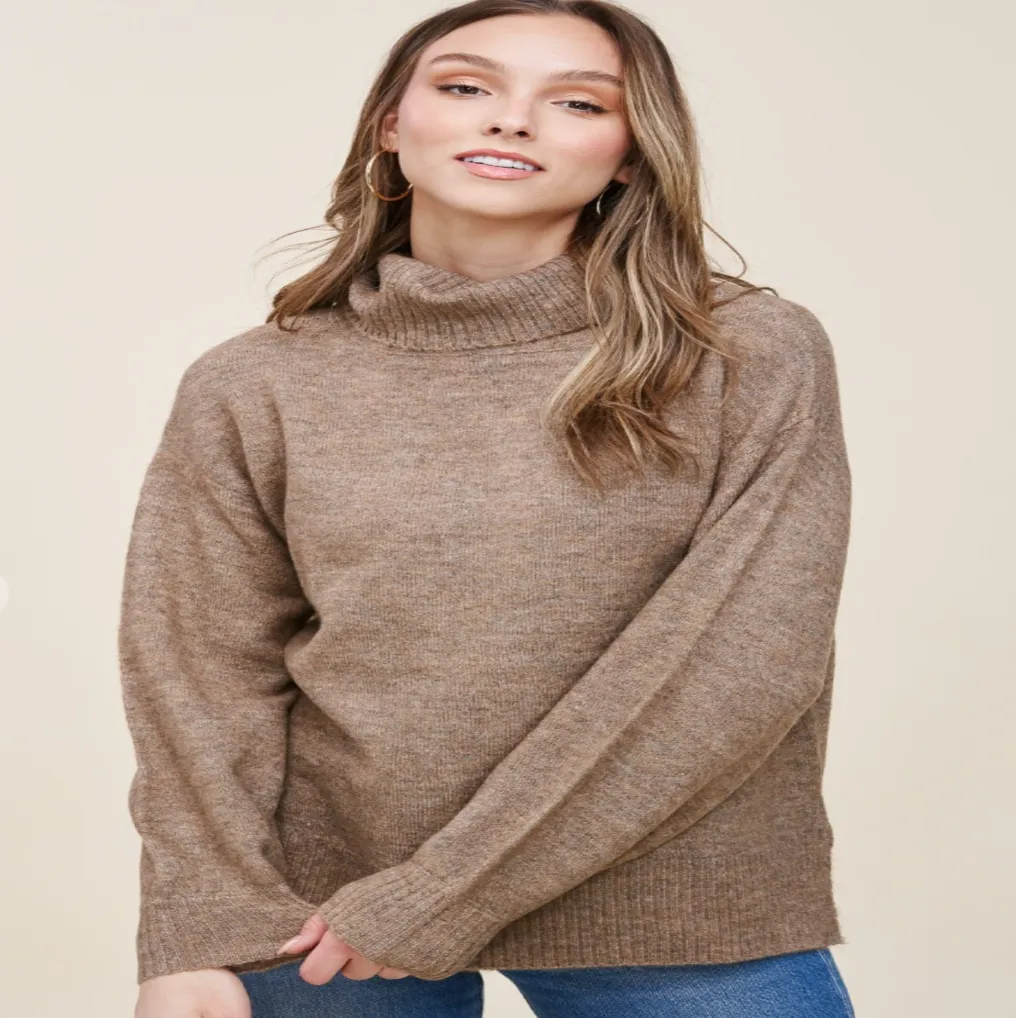 Turtle Neck Sweater